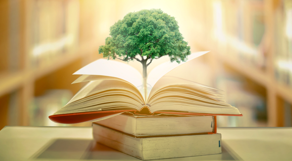 The Role of Education in Sustainability