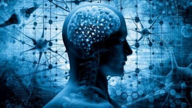 The Science of Memory Strategies for Improving Retention and Recall