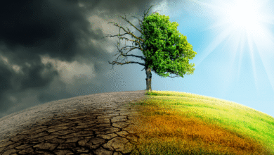 UK's Response to Climate Change
