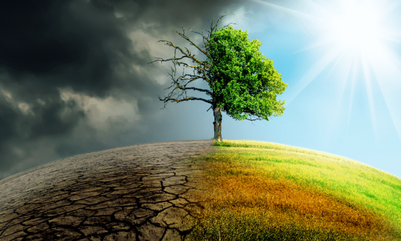 UK's Response to Climate Change