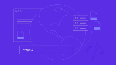 20 Reasons Why Hosting Matters in 2024