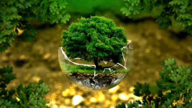 Facts About Ecology Science