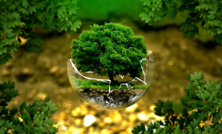 Facts About Ecology Science