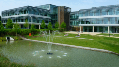 How UK Universities are Fostering Innovation in Technology
