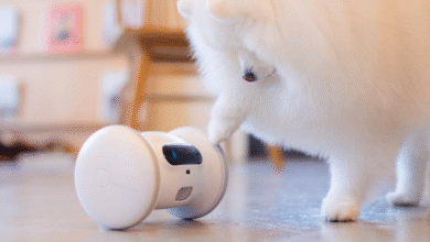 Next-Gen Gadgets