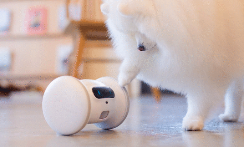 Next-Gen Gadgets