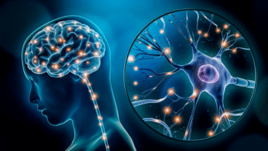 Tech and the Brain Exploring the Neuroscience of Innovation