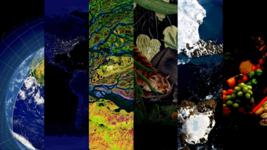 The Green Revolution Tech Solutions for Environmental Challenges