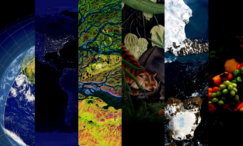 The Green Revolution Tech Solutions for Environmental Challenges