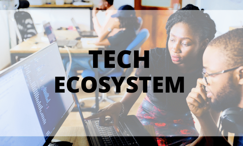 The Tech Ecosystem