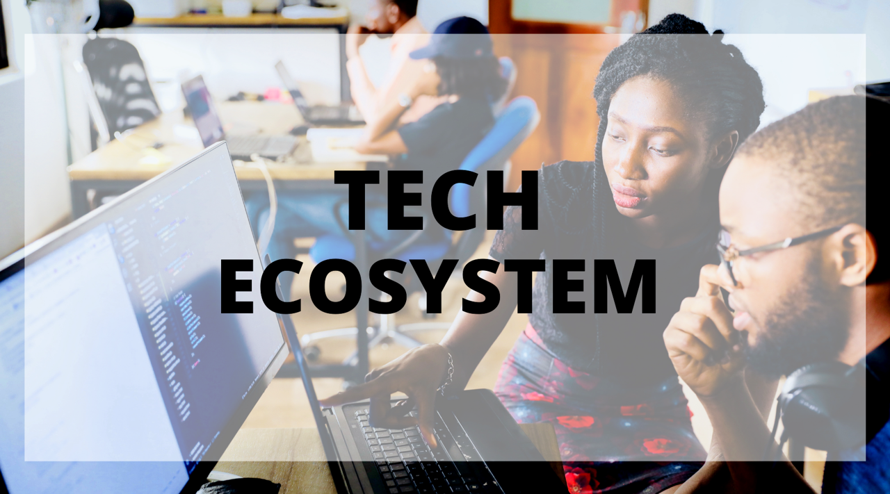 The Tech Ecosystem