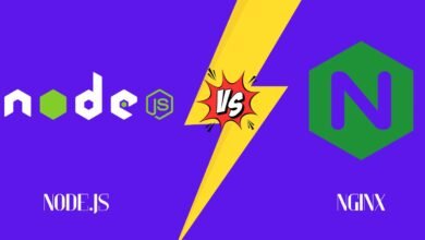 Node.js vs Nginx